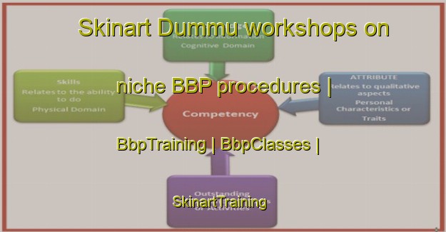 Skinart Dummu workshops on niche BBP procedures | BbpTraining | BbpClasses | SkinartTraining-Turkey